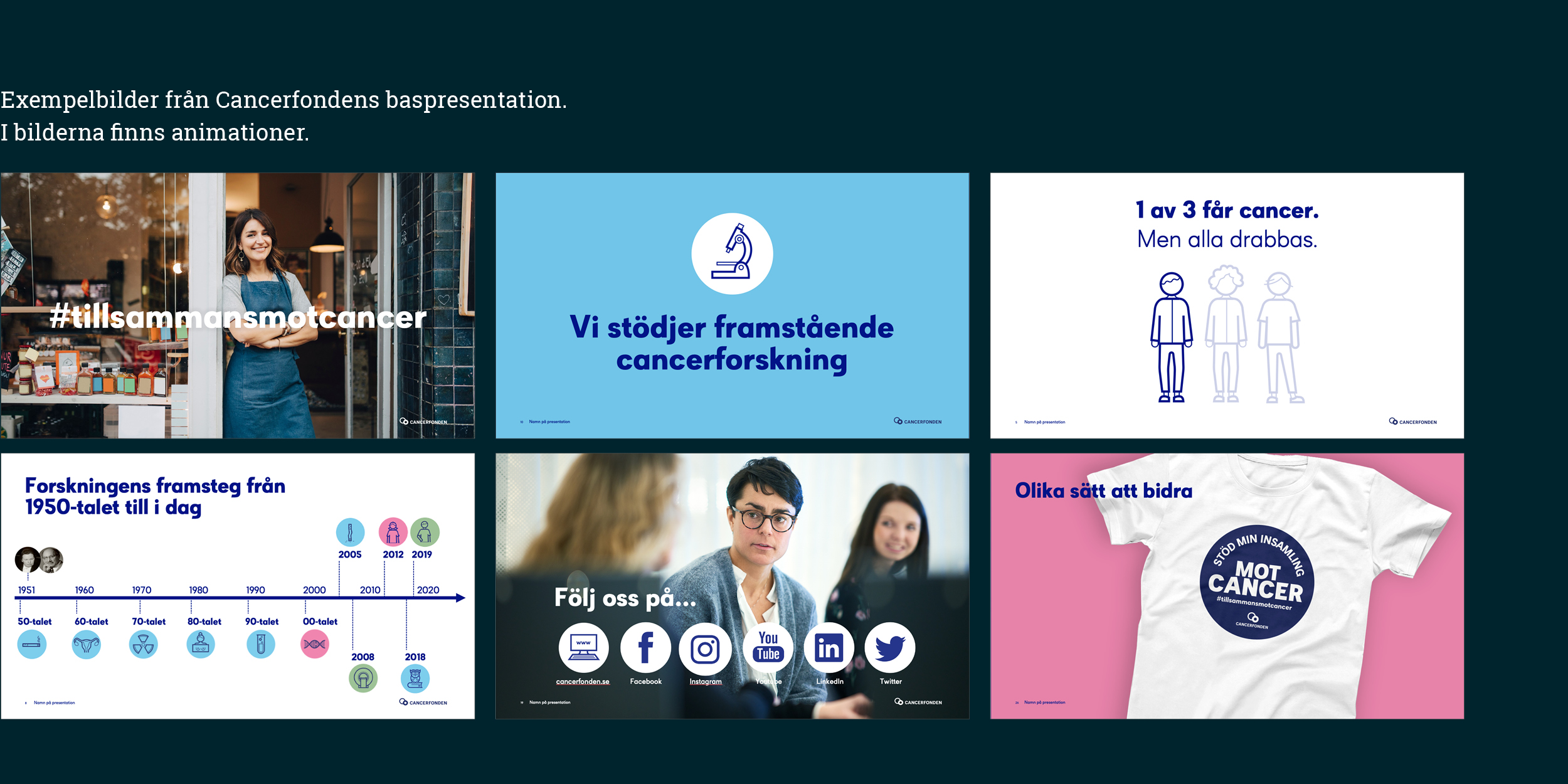 Cancerfonden Presentation